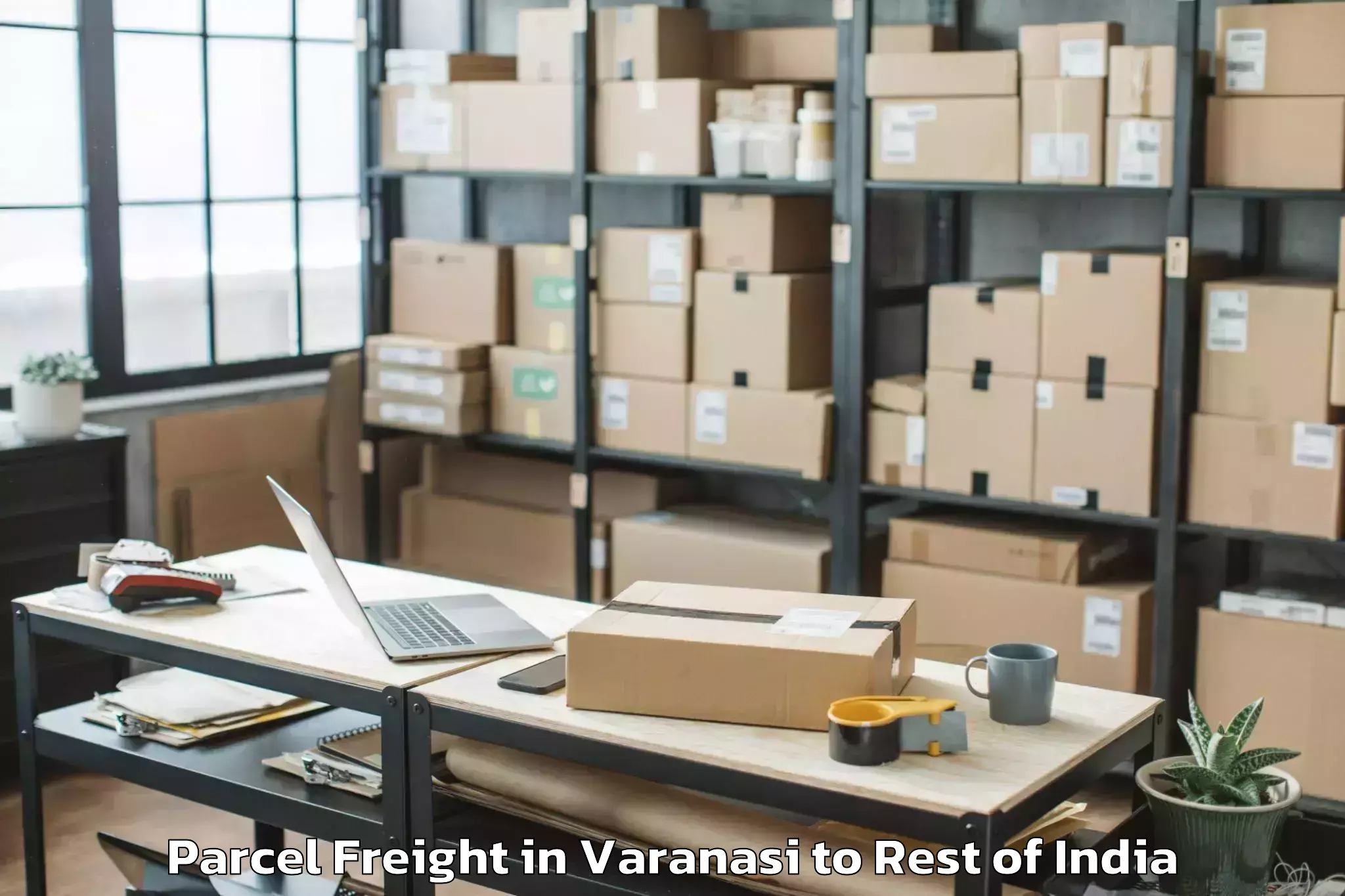 Book Varanasi to Soibugh Parcel Freight